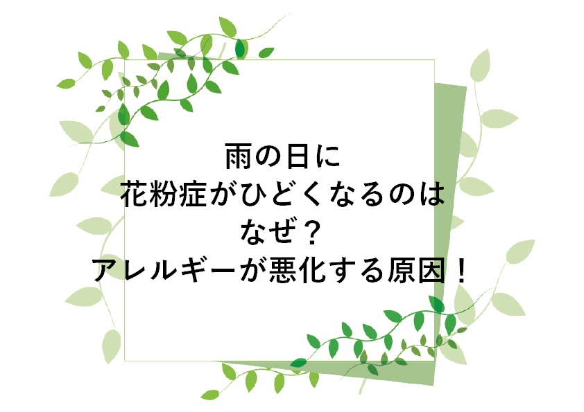 雨の日は、飛んでいる花粉の量が減って、花粉症はあまりひどくない、ハズなのに、なぜか雨の日にも鼻がグズグズ、目も痒い・・・ いや、もしかして雨の日の方がひどいかも・・・ そんなことってありでしょうか？ 雨の日に花粉症がひどくなる原因！ 花粉情報などを見ていても明らかなように、雨の日は花粉の飛散量が減ります。 ということは、普通だったら、花粉症の症状は軽くなるはず・・・ ところが、です。軽くなる気がしないんですよね。。。 雨だと、「花粉が少ないはず」と気分的には良いのですが、その実くしゃみをしたり、目が痒かったり、あまりいつもと変わらないんです。 私自身はあまり変化を感じられないというだけなのですが、中には「雨の日の方がひどい！」という人もいるみたいですね。 調べて見たら、どうも「低気圧」というのが影響しているらしいです。 気圧が低くなるとヒスタミンが増える？ 「気圧が低くなると体内のヒスタミンが増える」というのですね。 え～、そんなことがあるんですね。 アレルギーの時に飲む薬は「抗ヒスタミン剤」です。 体内のヒスタミンを抑える薬ですよね。そのヒスタミンが増えるのだったら、アレルギーが起きやすくなる、というのはとてもわかりやすいです。 気圧が低くなるとリンパ球が増える？ また「低気圧だとリンパ球の割合が増える」ということもあるそうです。 リンパ球と言えば体外から入ってきたウィルスなどをやっつけてくれる（免疫反応）正義の味方ですが、アレルギーはこの免疫反応が起こすわけですから、これも原因になりそうです。 雨が降る時に、気圧がものすごく急激に変化するわけでもないし、これくらいの気圧の変化は高いところに登っただけでも起こることなので、そんなに影響があるものなのかなあ、とも思うのですが。。。 でも頭痛がすると雨が降るとか、雨の日は身体がだるいとか、これって気圧のせいらしいんですよね。 ということは、やっぱりそれなりの反応が身体に起こってしまうということなのかな。。。 低気圧でひどくなる花粉症なんて、どうやって対応したら良いものなのか困りますが、少なくとも天気予報に気を付けて、低気圧が来る前に抗アレルギー剤（抗ヒスタミン剤）を飲み始める、くらいはできますね。 低気圧の時の鼻炎はアレルギーじゃないかも 普段花粉症を持っていると、アレルギー症状が出ると「花粉症だ」と思ってしまいがちですが、もしかしたら単に低気圧のせいで鼻炎を起こしている可能性もあります。 低気圧が引き起こす頭痛やむくみ、だるさなどは良く知られていますが、これは副交感神経（リラックスする時の神経）が優位になるからだと言われています。 このせいで分泌物（涙や鼻水など）も過剰に分泌されることがあるのだとか。 これはアレルギーというわけではないんですね。 アレルギー反応って、特に鼻に関する症状は、風邪との区別がつきにくかったりしますが、こういうこともあるんですね。なかなか厄介です。 家の中でアレルギーを起こすなら 雨の日のくしゃみや鼻水や目の痒み、もしかして家の中で起きるのでは？ 花粉の時期には家の中にも花粉が入りこんで、それがアレルギーを起こすことがあります。 一旦家の中に入った花粉は、お天気に関係なくアレルギーを引き起こします。 雨の日は家の中で過ごすことが多いかもしれませんが、歩くたびに床に落ちた花粉を巻き上げているかもしれません。 そして家の中でアレルギーを起こすのは、家に入り込んだ花粉ばかりではありません。 カビやハウスダストやダニや、いろいろありますね。 雨が続くのにくしゃみが、なんていう場合には、もしかしてカビが生えたりしていないかもチェックしてみた方が良いかもしれません。 アレルギーを引き起こすのは、花粉だけではありませんから・・・ 雨の日に花粉症がひどくなるのはなぜ？アレルギーが悪化する原因！まとめ 花粉症はつらいですよね。 雨が降る予報が出ると喜んだりしますが、実は雨の日が花粉症に良いとは限らないみたいです。 自分の花粉症がどんな時にひどくなるのか把握して、対策を練ってください。 そして家の中で出るくしゃみは花粉のせいではないかも・・・ 花粉の季節だから花粉症だと決めつけずに、いろいろな可能性を考えてみた方が良いかもしれませんね。