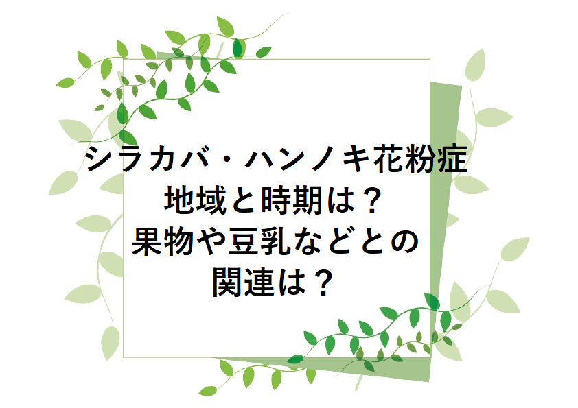 シラカバ・ハンノキ花粉症の地域と時期は？果物や豆乳などとの関連は？